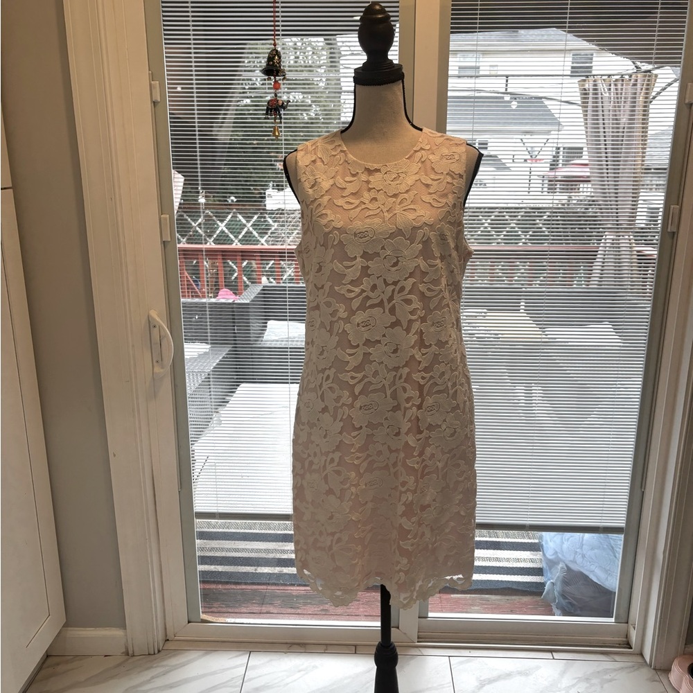 Karl Lagerfeld, PARIS, Light Pink Lace
Overlay Dress,, Size 8